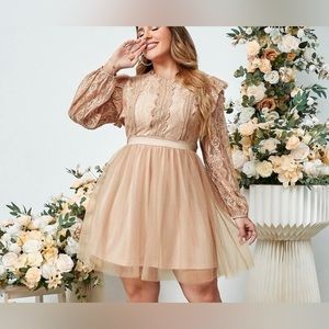 Simple Plus Ruffle Trim
Lace Insert Mesh Dress
Champagne